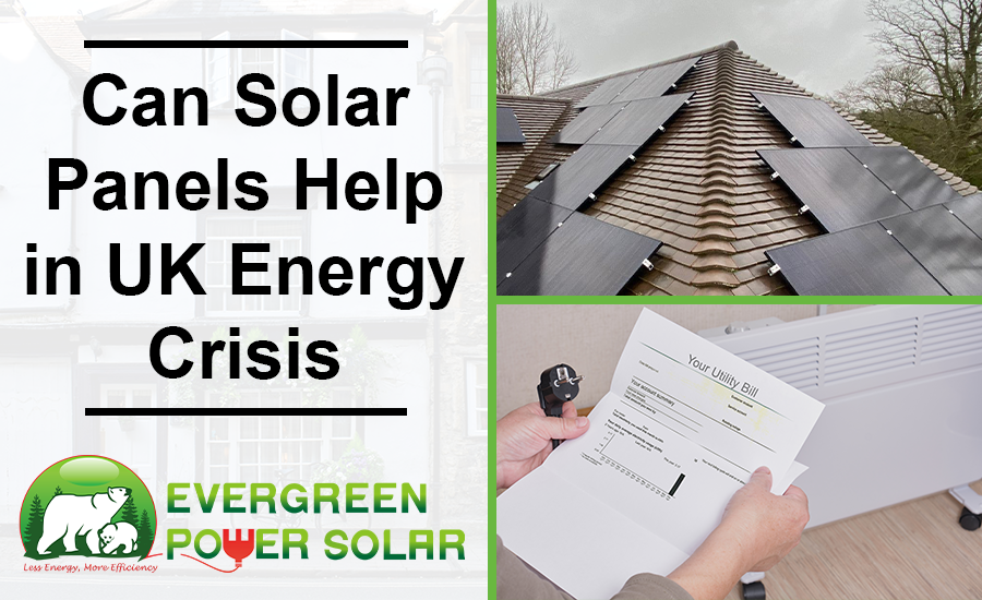 image_2024_05_01T12_14_49_954Z